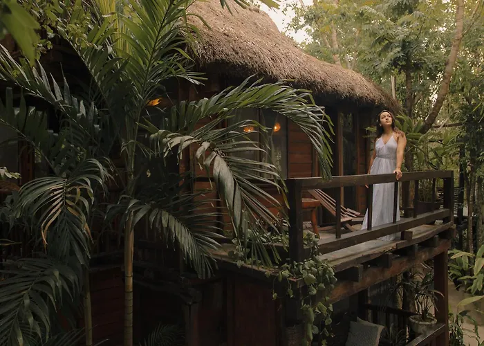 Anand Ecoaldea Puerto Morelos