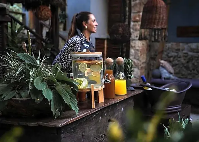 Lodge Anand Ecoaldea