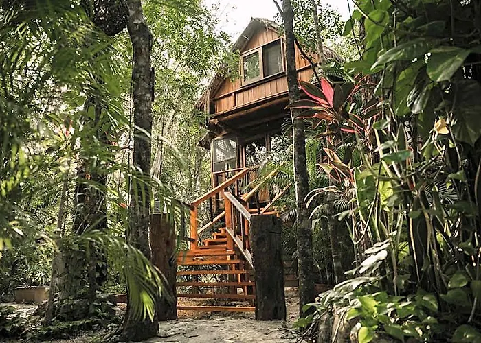 Anand Ecoaldea Puerto Morelos