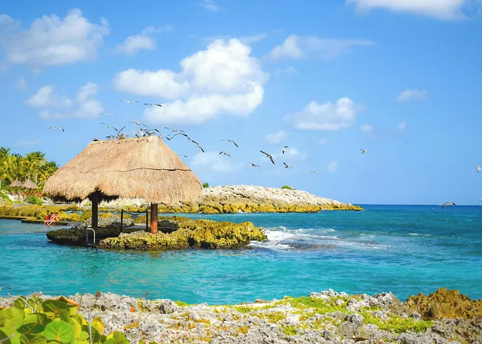 Lodge Anand Ecoaldea Puerto Morelos