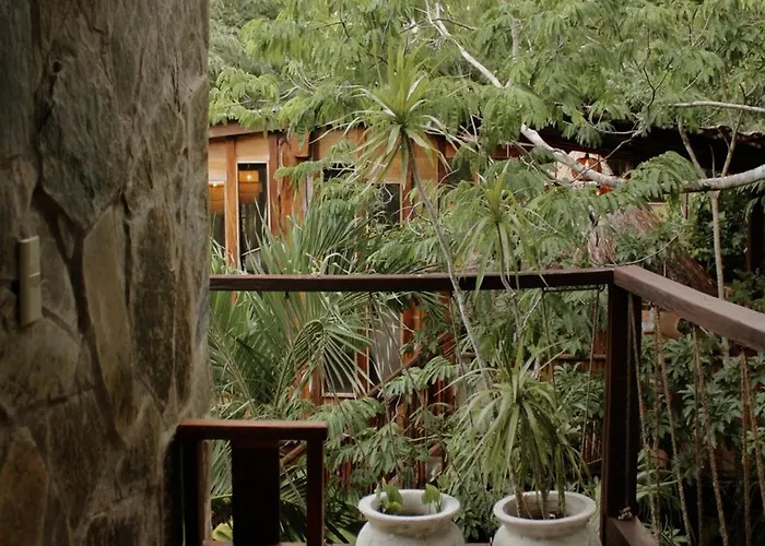 Anand Ecoaldea Puerto Morelos